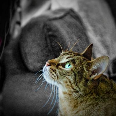 Received 10154106675658236